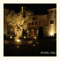 Villa Venus