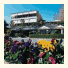 Ai Platani Hotel: fotografie