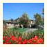Agriturismo Querciolaie
