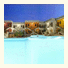 Hotel Ciuri Di Badia
