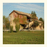 Agriturismo La Razza