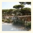 Pineta Sul Mare Camping Village: fotografie
