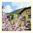 Cevedale Living Romance Hotel: fotografie