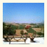 Tenuta San Rocco