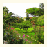 Azienda Agrituristica Tenuta Pizzolungo: fotografie