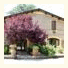 Agriturismo La Curbastra: fotografie
