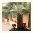Best Western Hotel Riviera: fotografie
