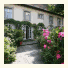 Albergo Villa Azalee: fotografie