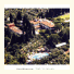 Hotel Villa Le Rondini
