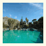 Park Hotel Terme Mediterraneo: fotografie