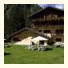 Charmant Petit Hotel: fotografie