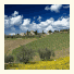 Borgo Casa al Vento: fotografie