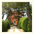 Dimora Del Falconiere B&B: fotografie