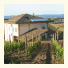 L'Orso e L'Ape B&B