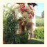 Villa Buonasera Agriturismo: fotografie