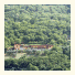Agriturismo Forest