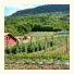 Agriturismo Fattoria Antica Forconia