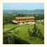 Agriturismo La Ca' D' Olga: fotografie