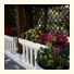 B&B Magic Garden