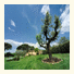 Borgo Casalvento: fotografie