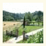 Agriturismo Podere Bucine Basso