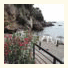 Eco del Mare