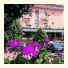 Hotel Villa Veneta: fotografie