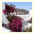 Hotel Villa Augustus: fotografie