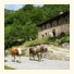 Agriturismo Le Fratte