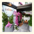 Hotel Luciana: fotografie
