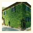 Agriturismo Parco dei Lecci