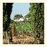 Agriturismo Tesorino