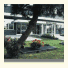 Hotel Alga