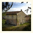 Fattoria Barbialla Nuova