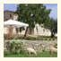 Podere Le Olle