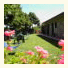 B&B Poggio del Drago: fotografie