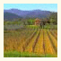 Agriturismo Relais Campiglioni: fotografie
