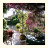 B&B La Bouganville