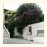 Residenza Le Rose Villa D'Arte: fotografie