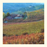Cascina Meriame