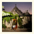Corallo Eco Wellness Hotel: fotografie