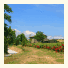 Agriturismo Il Poggio Di Orvieto: fotografie