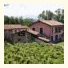 B&B Pizzo Di Gallo