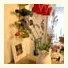 B&B Montecarlo