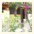 Hotel Villaggio Tabù: fotografie