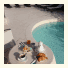 Piccolo Hotel: fotografie