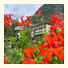 Hotel Pedretti