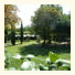 Agriturismo Spagnolina