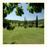 Il Paggino Chianti Accommodation: fotografie