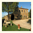 Agriturismo Tenuta Armaiolo: fotografie